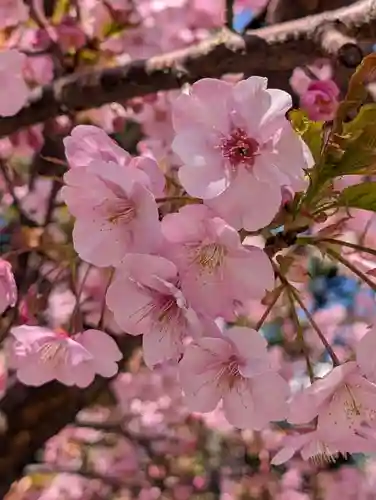 嶺白山神社(東京都)