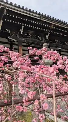 本法寺(京都府)