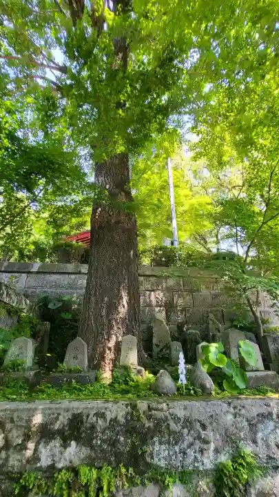 鹿児島神社の{uncategorized: "未分類", other: "その他", undefined: "問題あり", building: "その他建物", grave: "お墓", sacred_gate: "鳥居", guardian: "狛犬", statue: "像", buddha: "仏像", history: "歴史", nature: "自然", garden: "庭園", animal: "動物", pagoda: "塔", temizu: "手水舎", mountain_gate: "山門・神門", sanctuary: "本殿・本堂", subordinate: "末社・摂社", art: "芸術", scenery: "景色", jizo: "地蔵", ema: "絵馬", goshuin: "御朱印", omikuji: "おみくじ", items: "授与品その他", amulet: "お守り", goshuincho: "御朱印帳", eats: "食事", festival: "お祭り", votive_dance: "神楽", shichigosan: "七五三参", wedding: "結婚式", experience: "体験その他", initially: "初詣", around: "周辺", anti_infection: "感染症対策"}