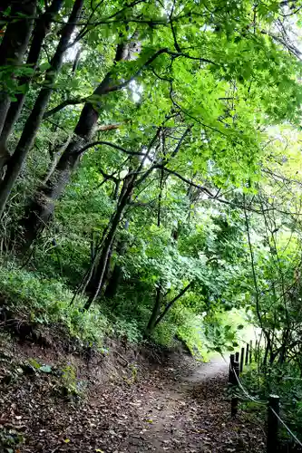 虻田神社の自然