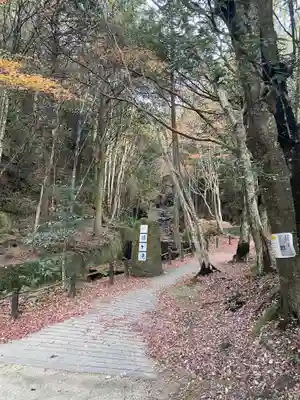 岩巣山薬師堂(愛知県)