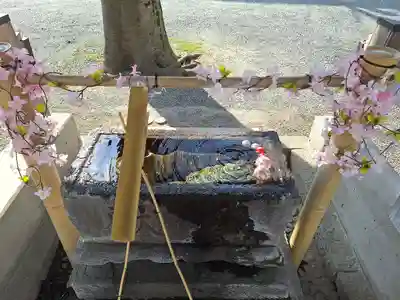 相模原氷川神社(神奈川県)