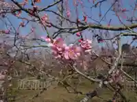 常磐神社の周辺