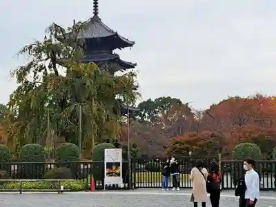 東寺（教王護国寺）(京都府)