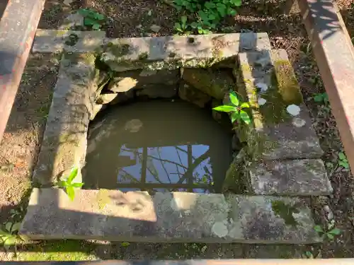 武田神社の庭園