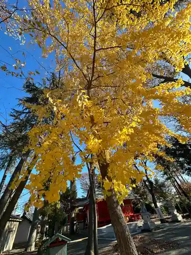 小野神社(東京都)