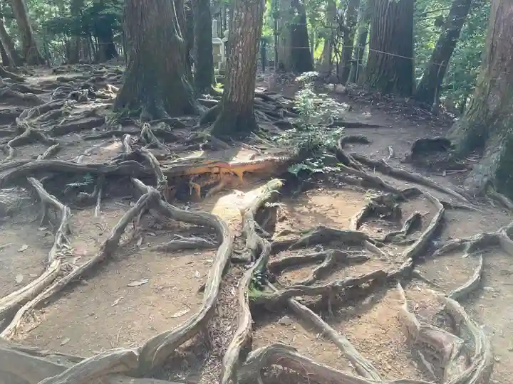 鞍馬寺奥の院 魔王殿(京都府)