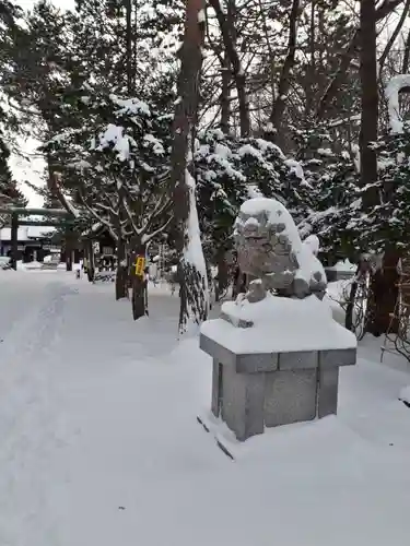 琴似神社の狛犬