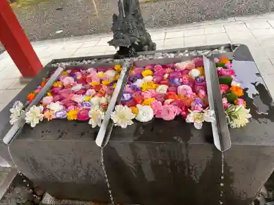 美濃國一宮　南宮大社の{uncategorized: "未分類", other: "その他", undefined: "問題あり", building: "その他建物", grave: "お墓", sacred_gate: "鳥居", guardian: "狛犬", statue: "像", buddha: "仏像", history: "歴史", nature: "自然", garden: "庭園", animal: "動物", pagoda: "塔", temizu: "手水舎", mountain_gate: "山門・神門", sanctuary: "本殿・本堂", subordinate: "末社・摂社", art: "芸術", scenery: "景色", jizo: "地蔵", ema: "絵馬", goshuin: "御朱印", omikuji: "おみくじ", items: "授与品その他", amulet: "お守り", goshuincho: "御朱印帳", eats: "食事", festival: "お祭り", votive_dance: "神楽", shichigosan: "七五三参", wedding: "結婚式", experience: "体験その他", initially: "初詣", around: "周辺", anti_infection: "感染症対策"}