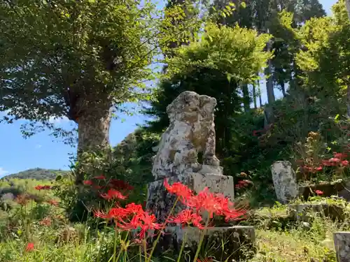 八幡神社の狛犬