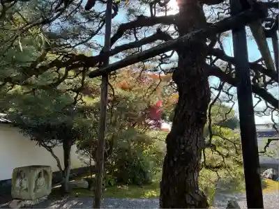 大心院(京都府)