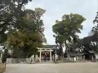 野田八幡宮(愛知県)