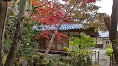 勝持寺（花の寺）(京都府)