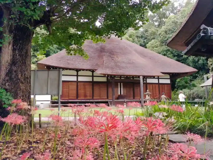 横浜 西方寺の本殿・本堂