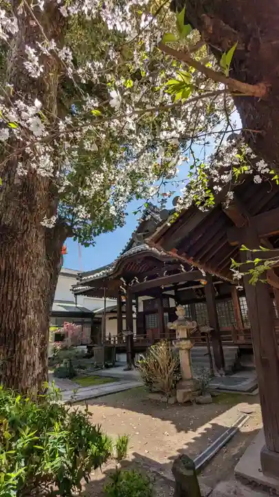 本教寺(京都府)