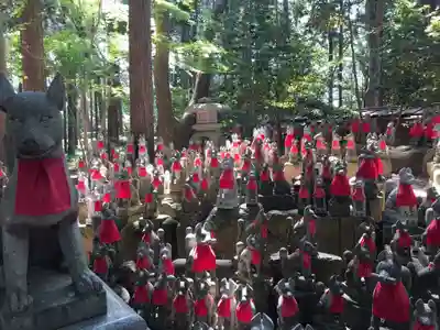 豊川閣　妙厳寺の狛犬