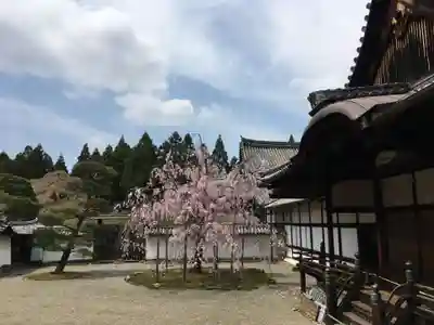 三宝院（三宝院門跡）のその他建物