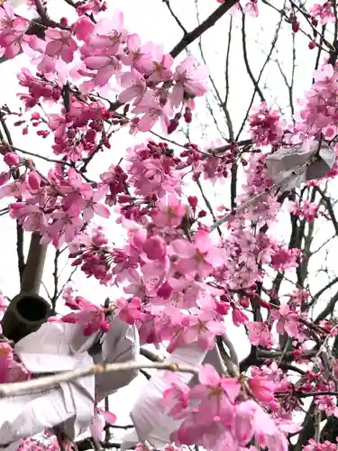 豊栄稲荷神社の自然