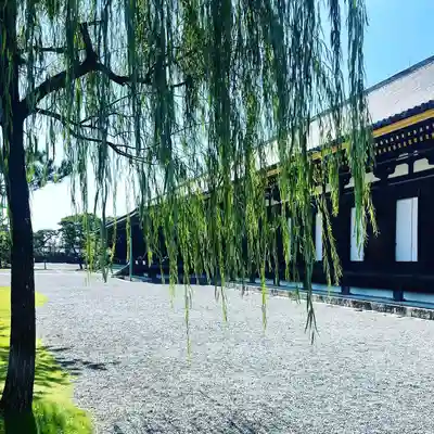 蓮華王院（三十三間堂）のその他建物