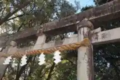 大井神社の建物その他