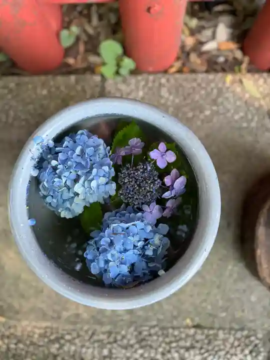 川越八幡宮(埼玉県)