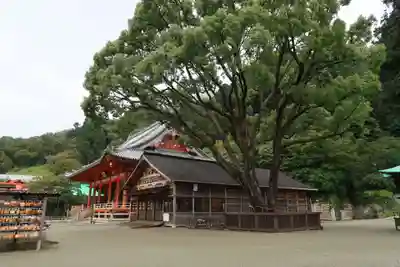 勝尾寺(大阪府)