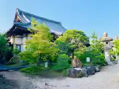 朝日寺の庭園