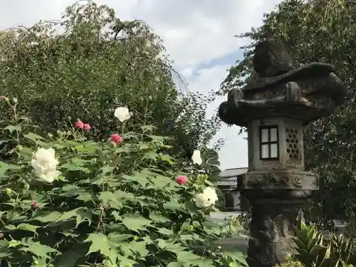 善福寺のその他建物