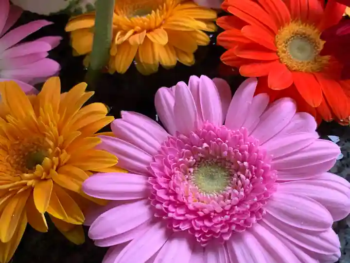 滑川神社 - 仕事と子どもの守り神(福島県)
