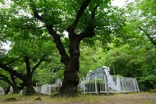 大阪護國神社の周辺