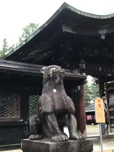 上杉神社の狛犬