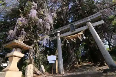 春日神社の鳥居