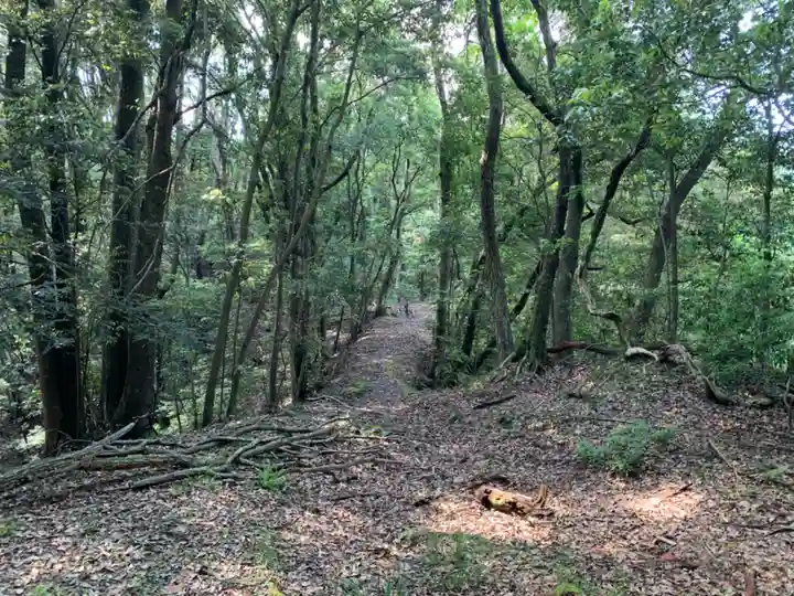 琴平神社の周辺