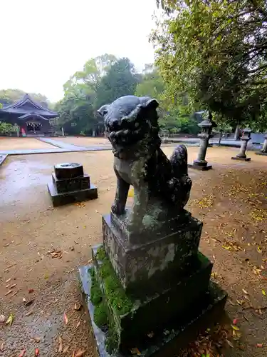 鏡神社の狛犬