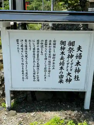 夫婦木神社(山梨県)