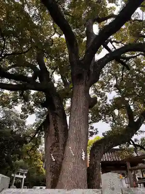 冠纓神社(香川県)