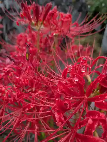 福寿院(東京都)