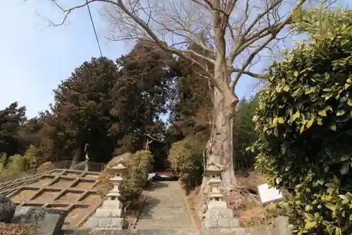 諏訪神社の景色