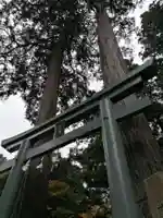 九頭龍神社の鳥居
