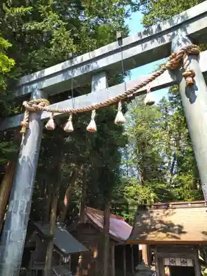 諏訪大社(長野県)