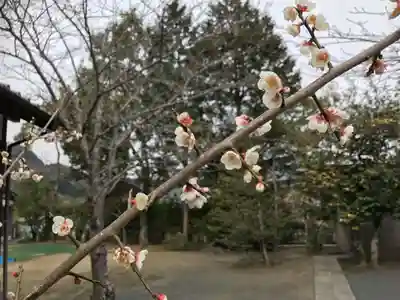 宇原神社(福岡県)