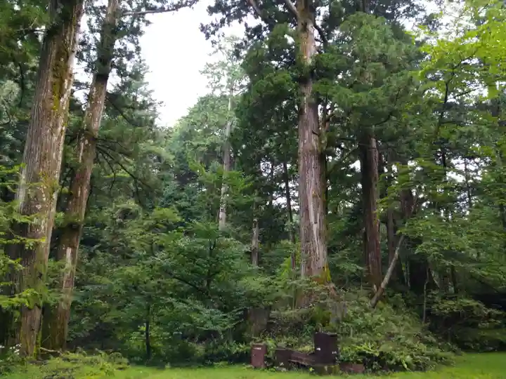 瀧尾神社(日光二荒山神社別宮)の自然