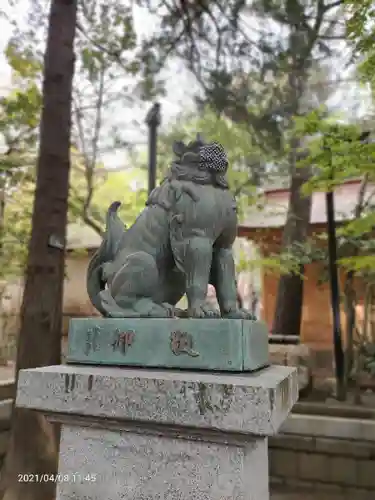 平塚八幡宮の狛犬