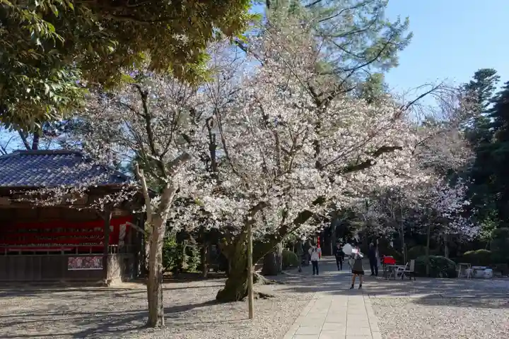 岩槻久伊豆神社(埼玉県)