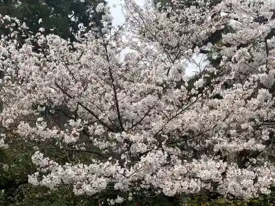 法金剛院(京都府)