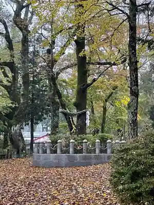 山中諏訪神社(山梨県)