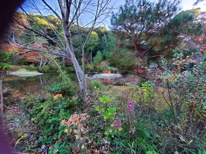 浄瑠璃寺(京都府)