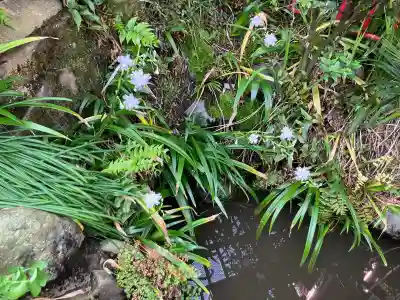 成田山七島不動尊の{uncategorized: "未分類", other: "その他", undefined: "問題あり", building: "その他建物", grave: "お墓", sacred_gate: "鳥居", guardian: "狛犬", statue: "像", buddha: "仏像", history: "歴史", nature: "自然", garden: "庭園", animal: "動物", pagoda: "塔", temizu: "手水舎", mountain_gate: "山門・神門", sanctuary: "本殿・本堂", subordinate: "末社・摂社", art: "芸術", scenery: "景色", jizo: "地蔵", ema: "絵馬", goshuin: "御朱印", omikuji: "おみくじ", items: "授与品その他", amulet: "お守り", goshuincho: "御朱印帳", eats: "食事", festival: "お祭り", votive_dance: "神楽", shichigosan: "七五三参", wedding: "結婚式", experience: "体験その他", initially: "初詣", around: "周辺", anti_infection: "感染症対策"}