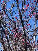 境香取神社の自然
