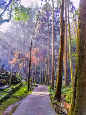 奥之院（岩屋寺）のその他建物